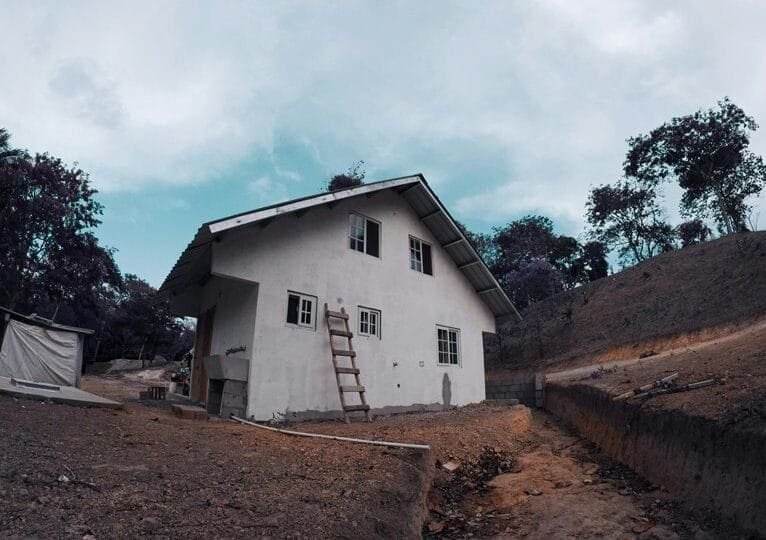 mangoes in lush hills